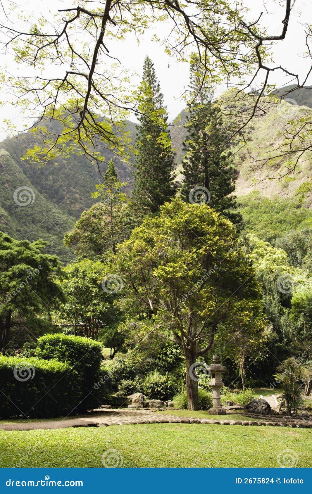 Asian Garden In Park Stock Photo Image Of State Tree 2675824