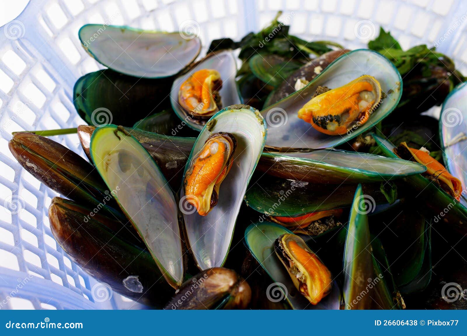 Asian green mussel stock photo. Image of diet, background 26606438