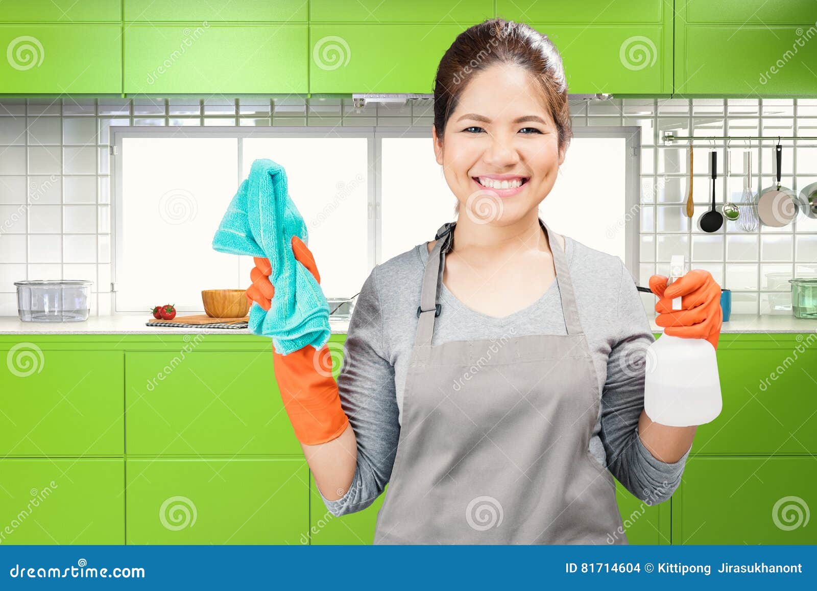 Asian Housekeeper Holding Spray Bottle and Rag Stock Photo Image of