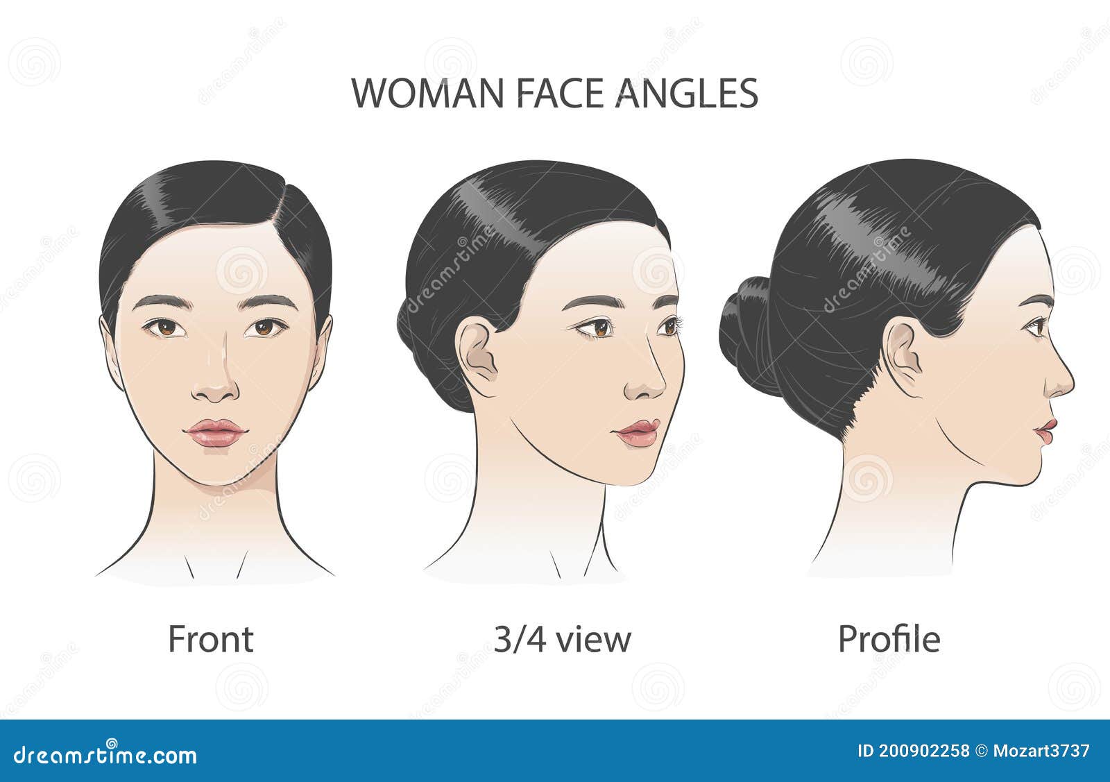 asian korean women portrait three dimension angles.  