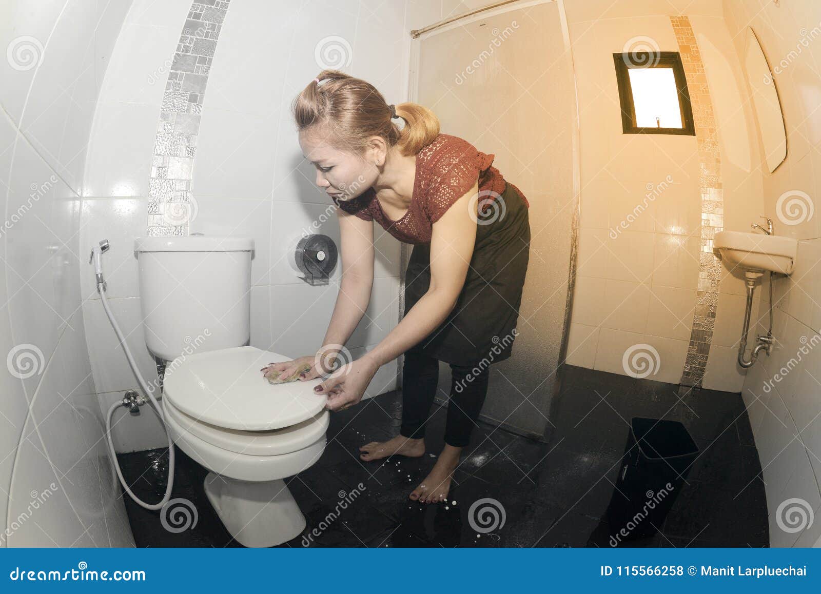 Cleaning Wiping Toilet Seat Stock Photo - Download Image 