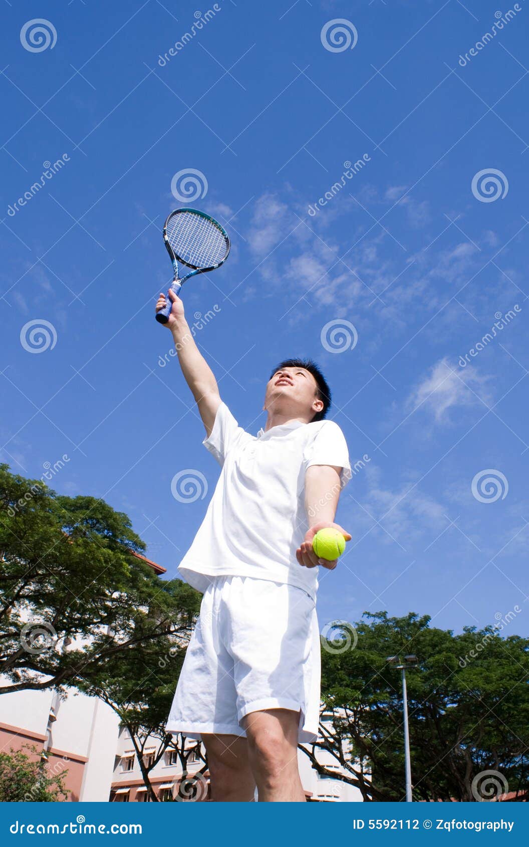 Asian Male Tennis Player stock photo. Image of green, tennis - 5592112