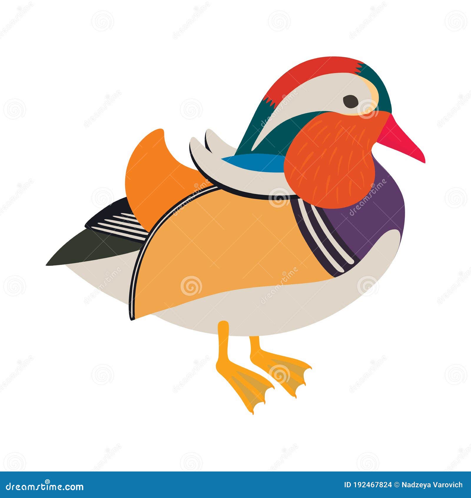 Asian Mandarin Duck, Isolated on White Stock Vector Illustration of