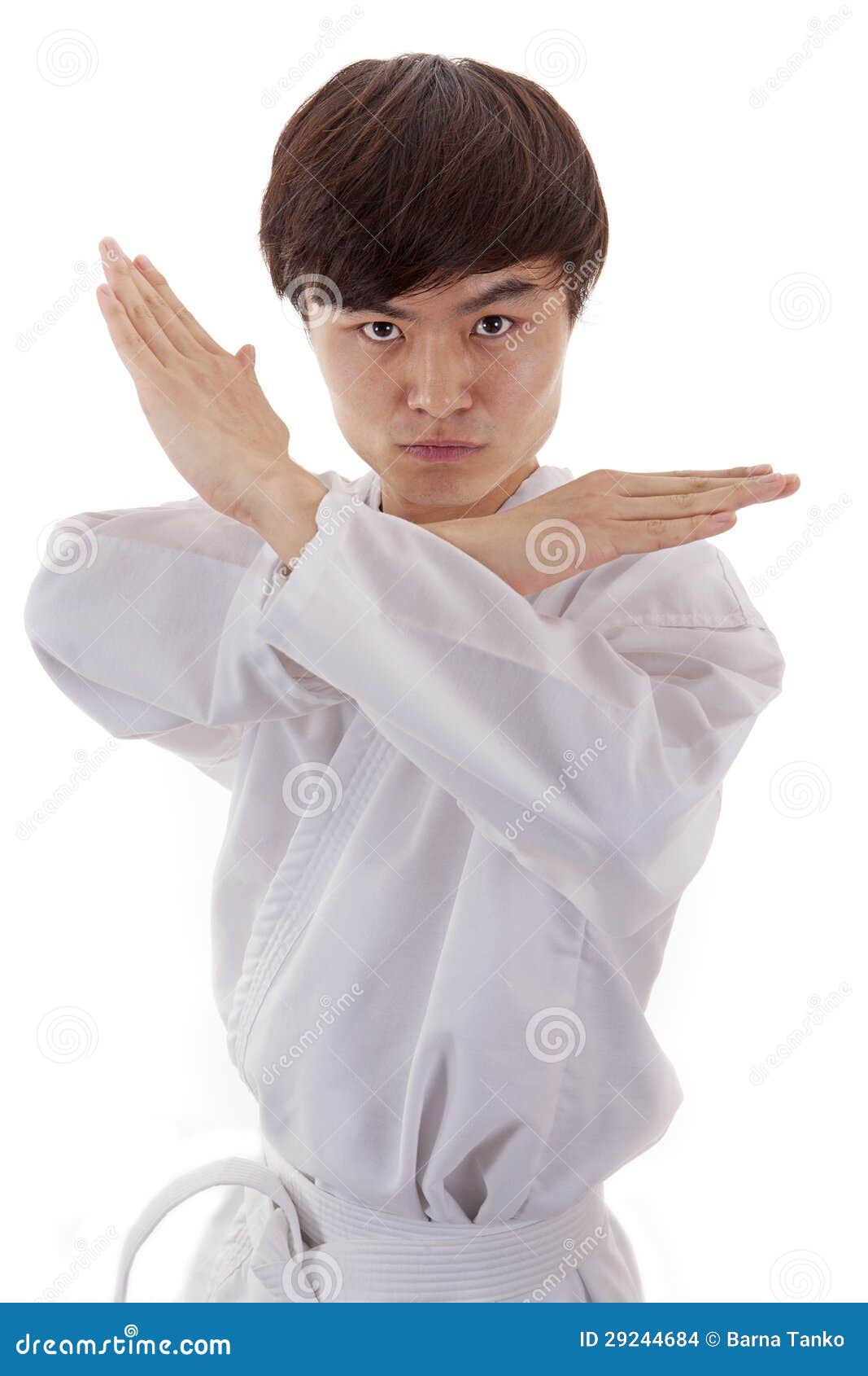 6,141 Asian Martial Art Stock Photos Free & RoyaltyFree Stock Photos