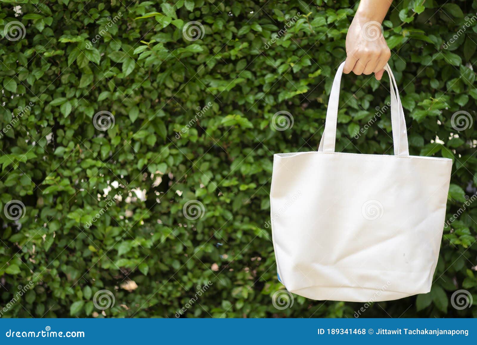 Asian Men is Holding Tote Bag Canvas Fabric for Mockup Blank Template ...