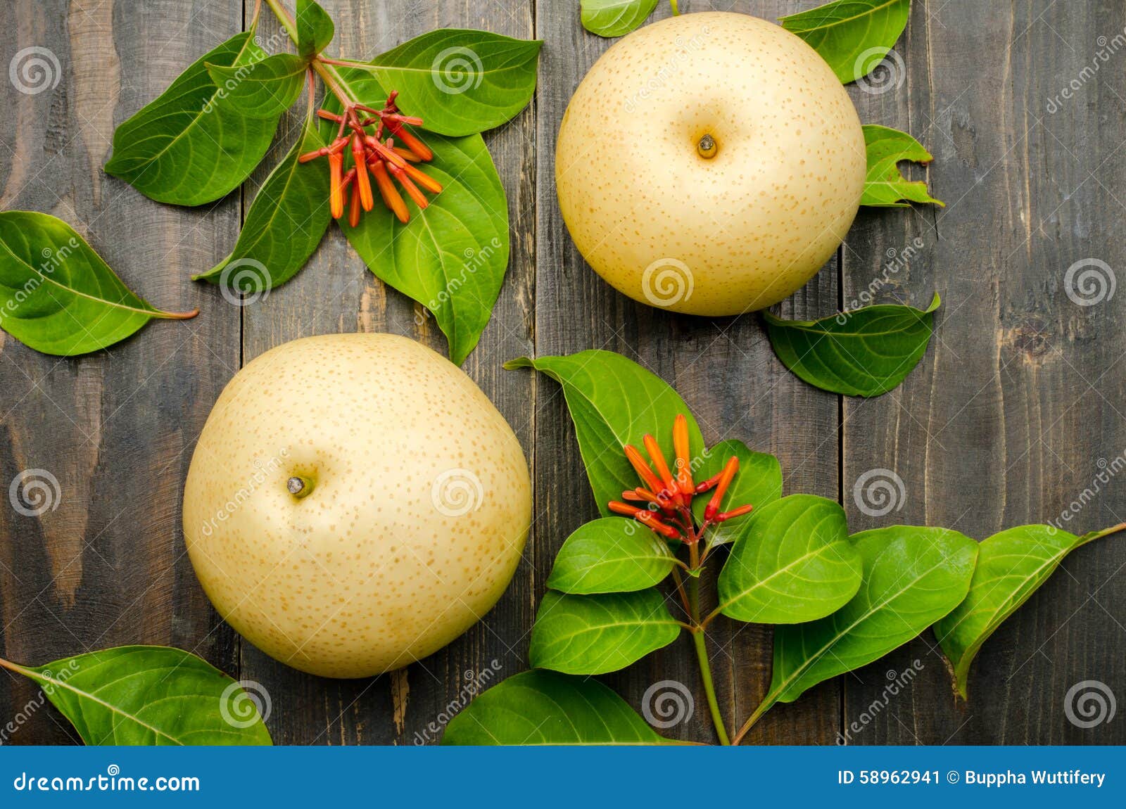Asian pear stock image. Image of healthy, pear, pears 58962941