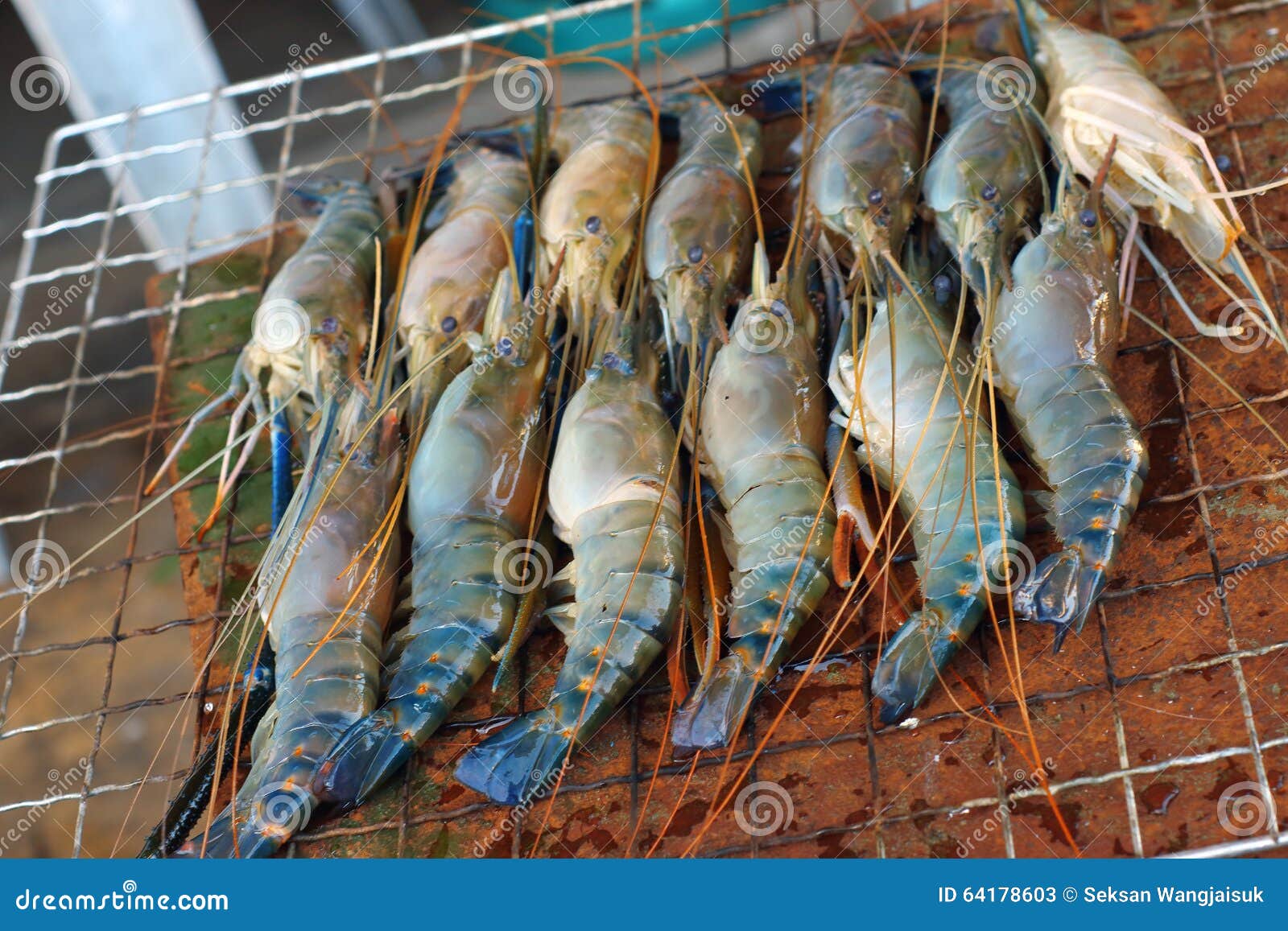 Asian shrimp barbecue in gridiron