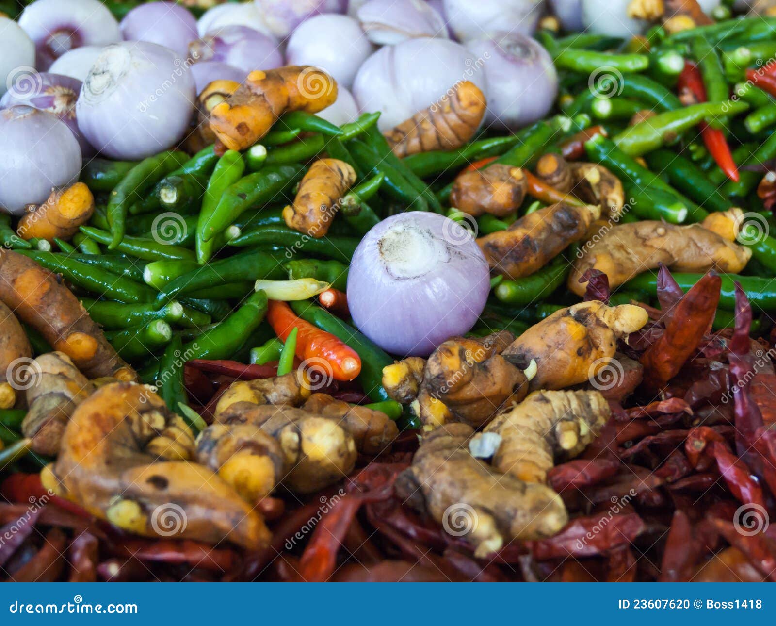 Asian spices and herbs. stock photo. Image of cinnamon 23607620