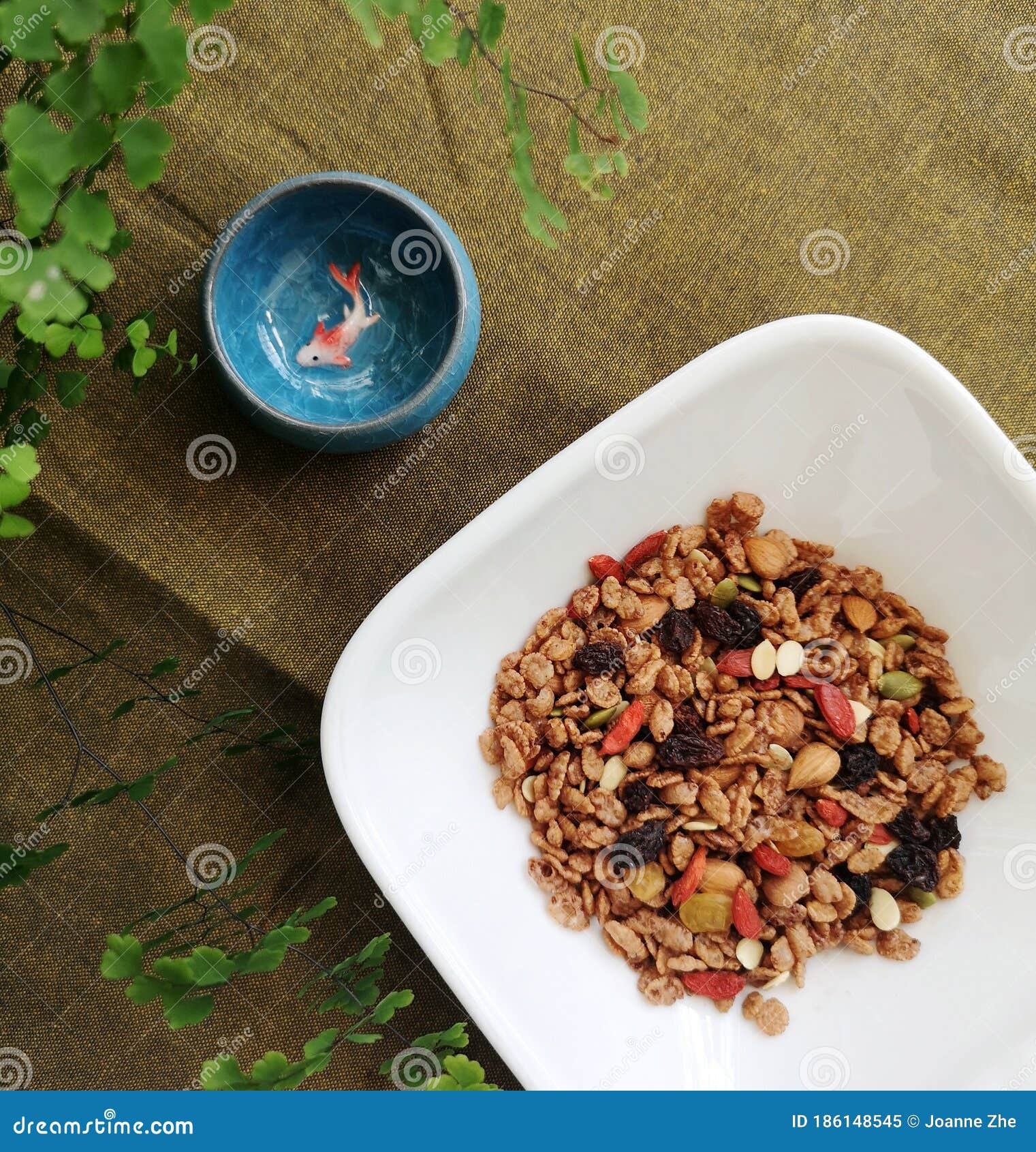 Asian Style Brown Rice Granola Stock Image - Image of healthy, rice