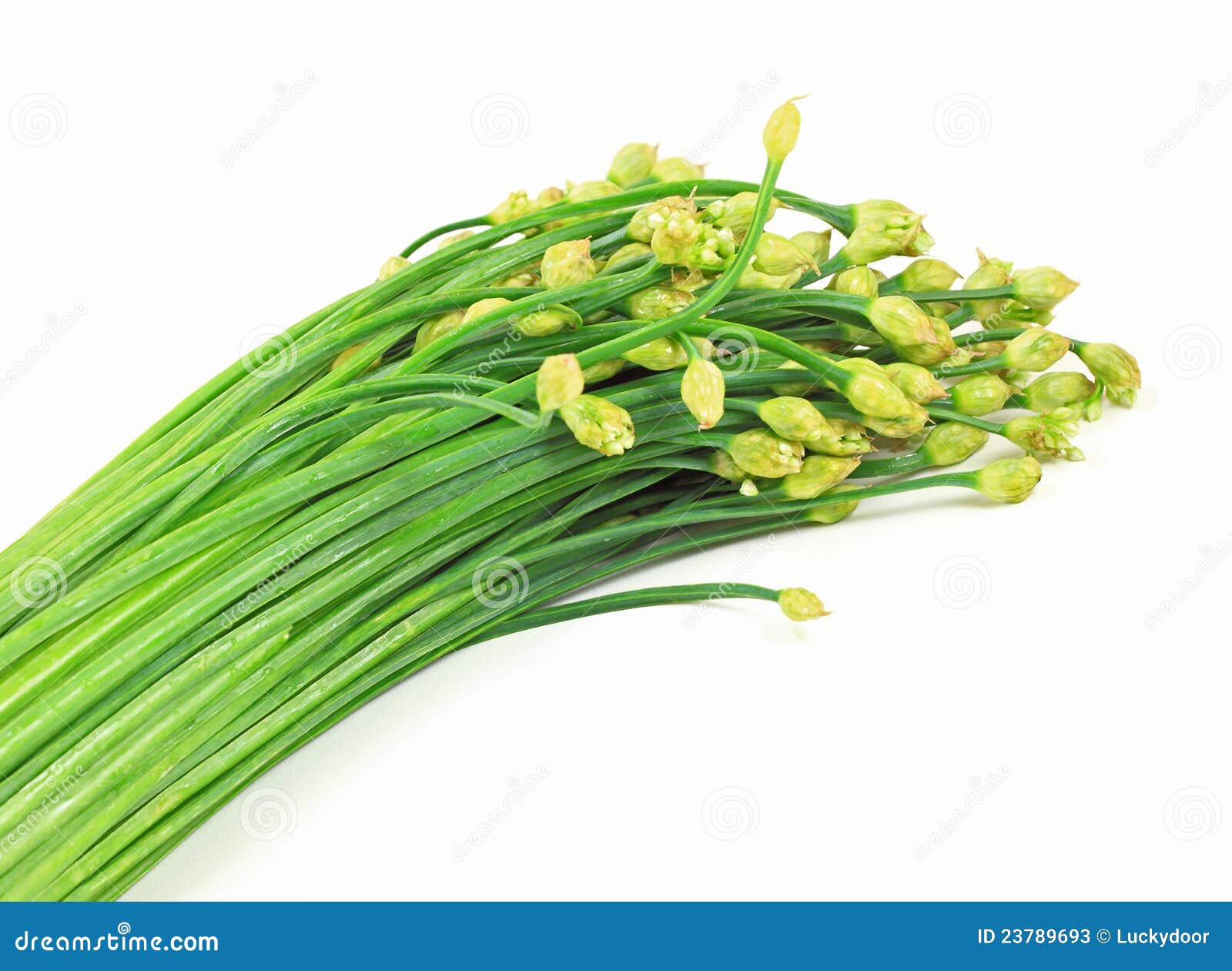 Asian Vegetable stock image. Image of chive, diet, nature 23789693