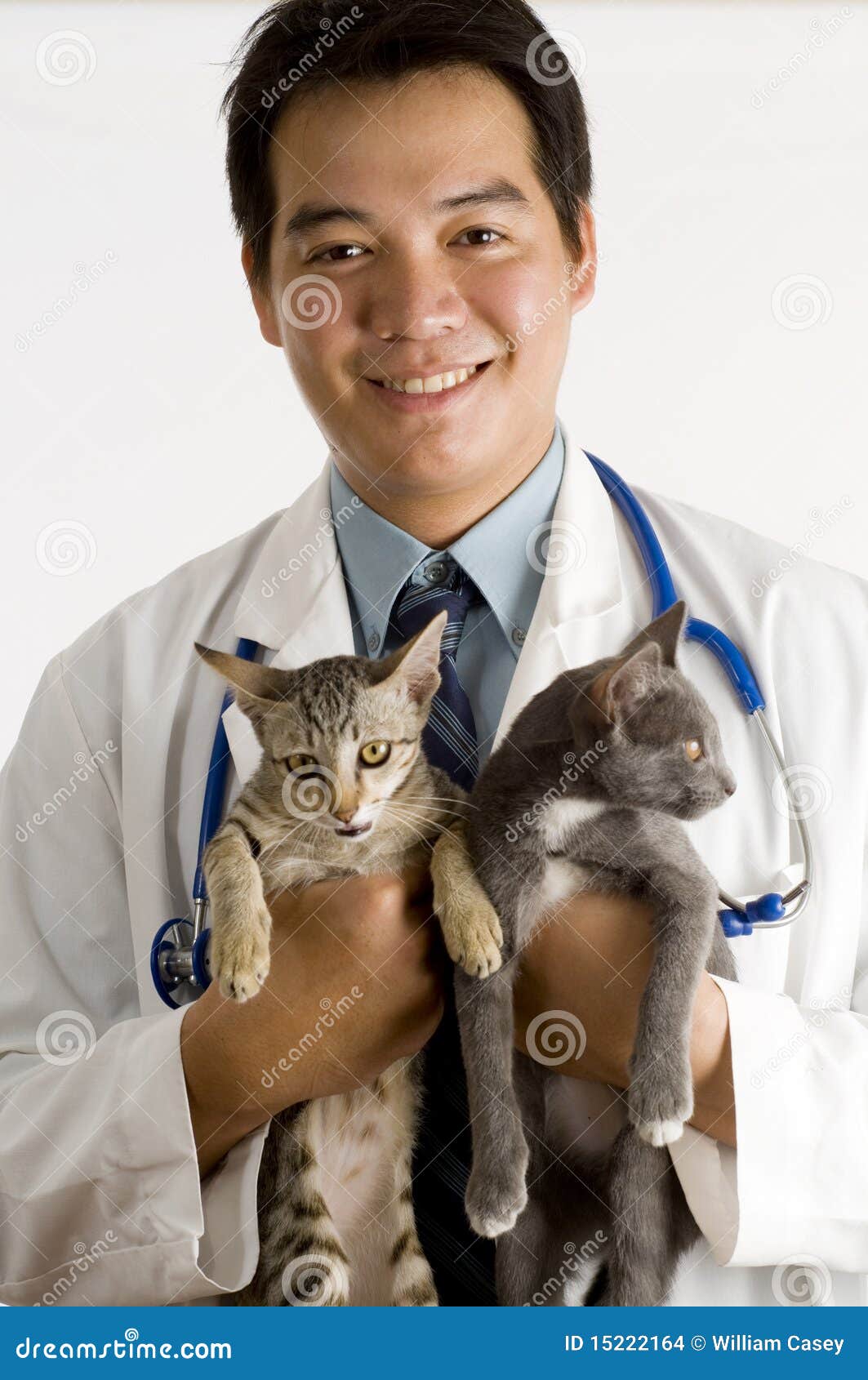 asian veterinarian