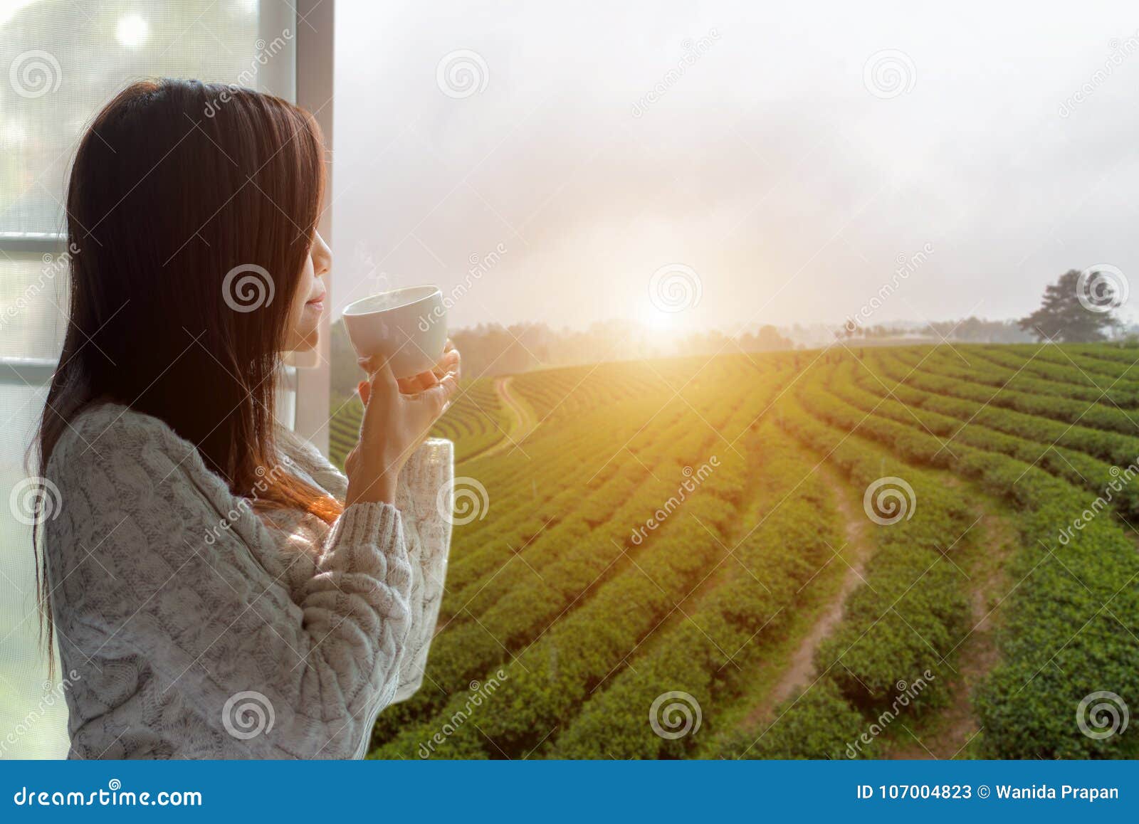 Asian Woman Fresh Morning Drinking Hot Tea and Looking Out of the ...