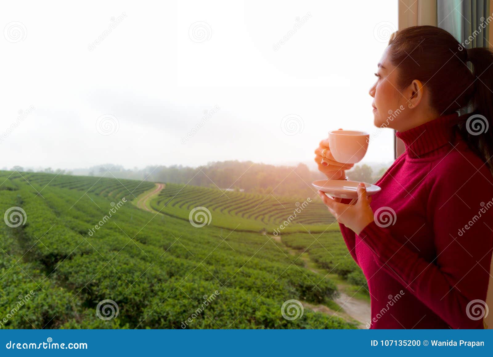 Asian Woman Put Red Sweater Fresh Morning Drinking Hot Tea and ...