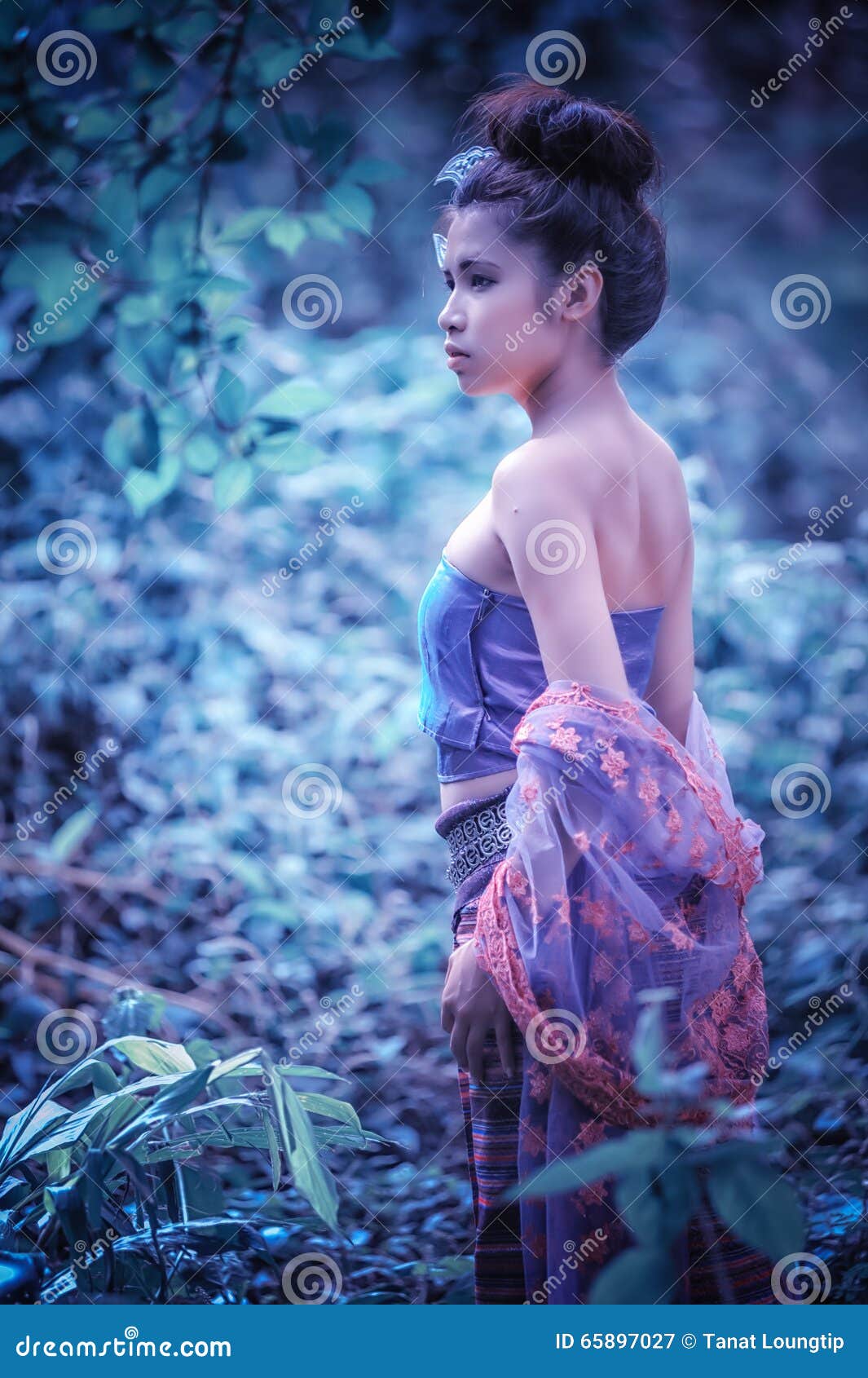 Asian Woman Wearing Thai Lanna Series Identity Culture Of Thailand Stock Image Image Of Life