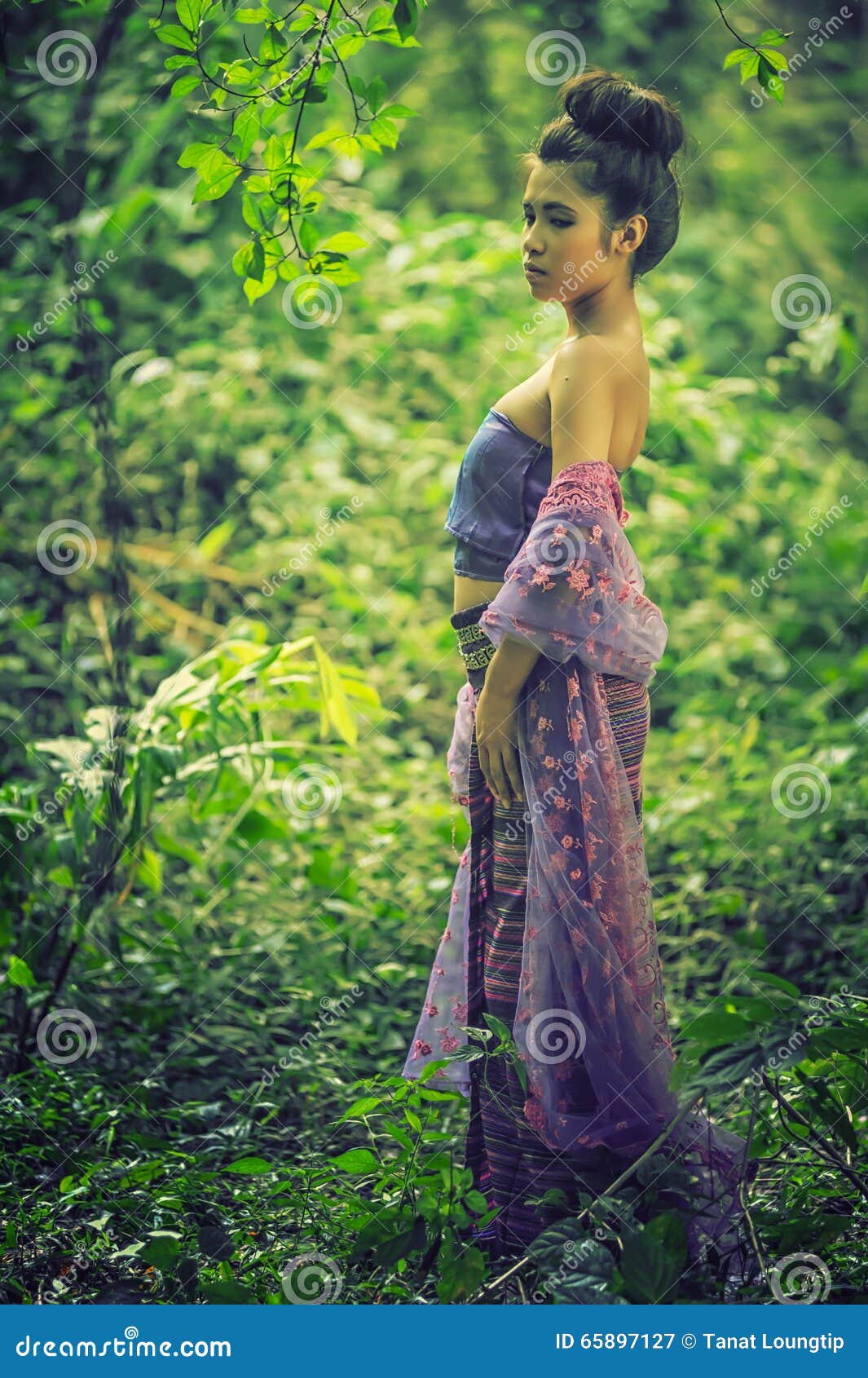Asian Woman Wearing Thai Lanna Series Identity Culture Of Thailand Stock Image Image Of Girl