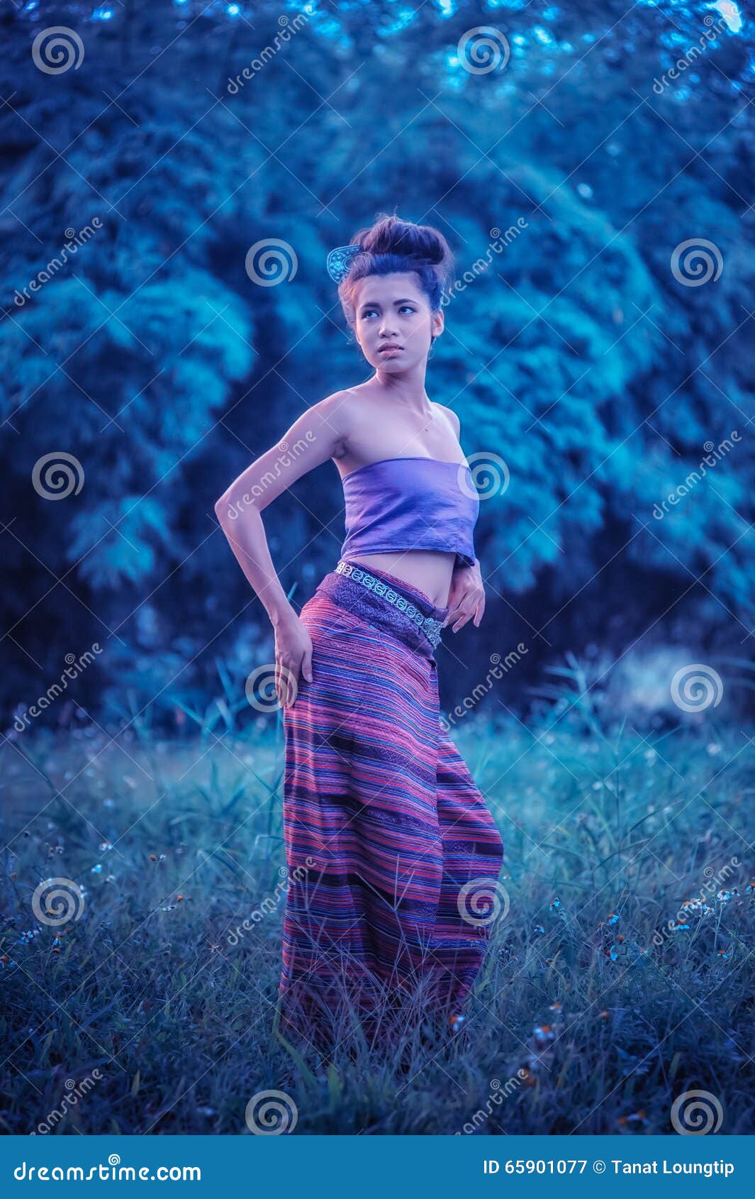 Asian Woman Wearing Thai Lanna Series Identity Culture Of Thailand Stock Image Image Of