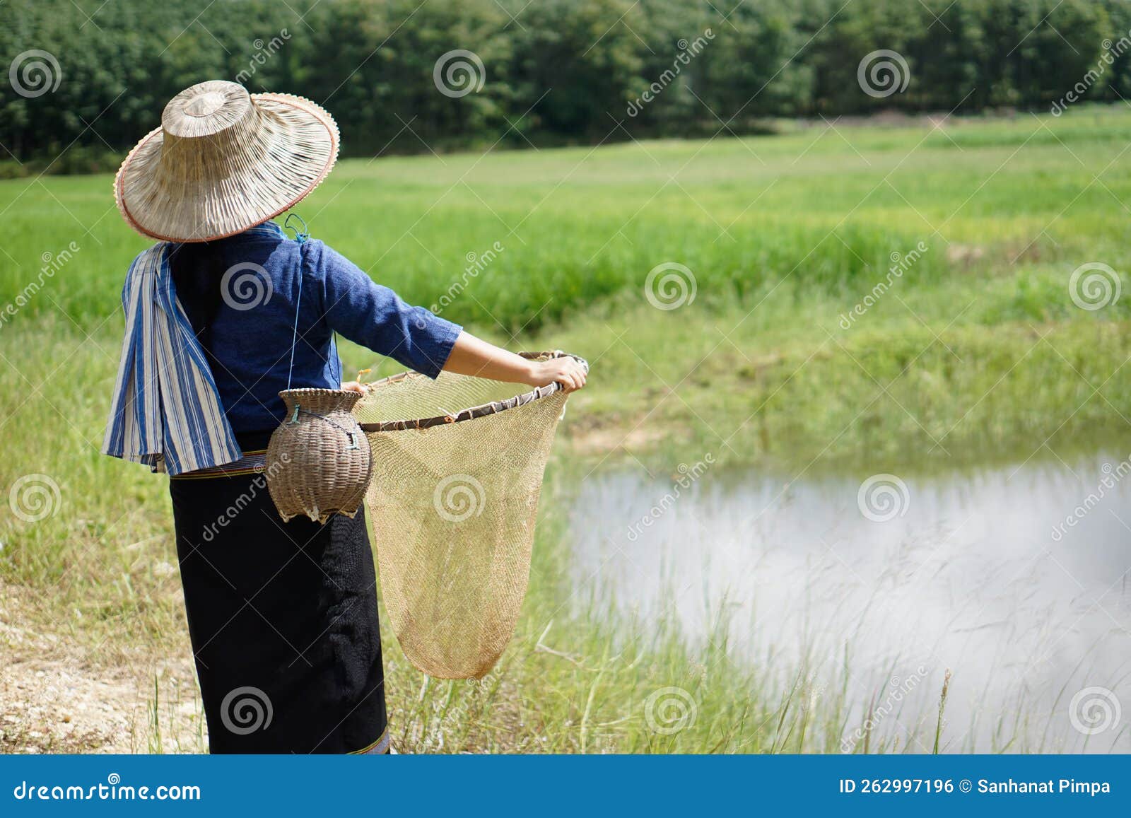 Asian Woman Wears Hat and Traditional Costume , Holds Fishing Net and Creel  To Find Fish, Stock Photo - Image of fisher, field: 262997196