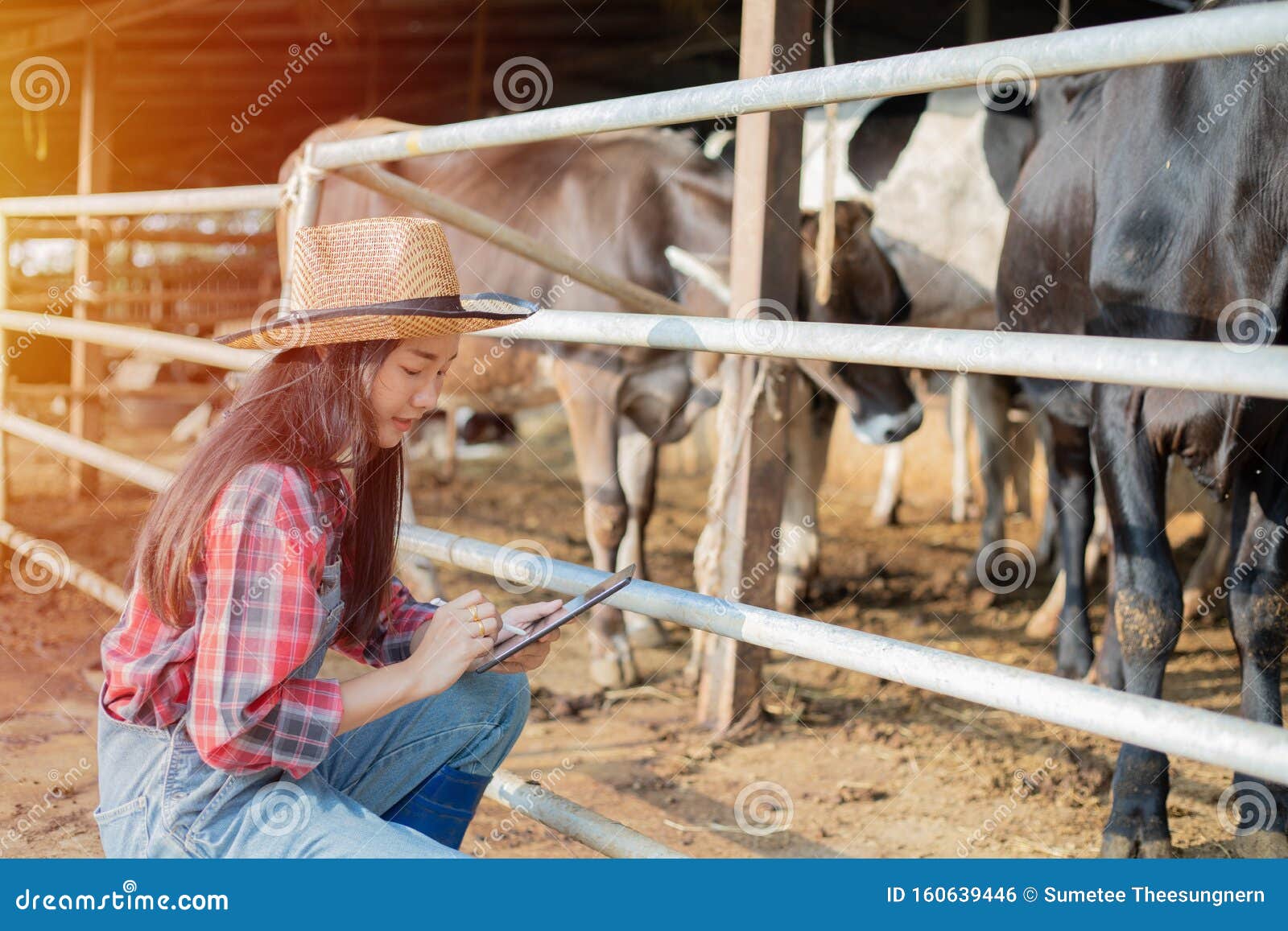 Breeding Women On A Ranch