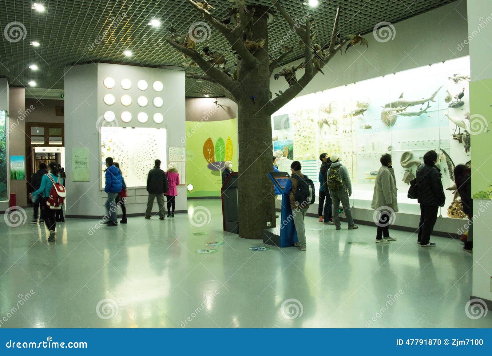 Asiatico museo di Cina, Pechino, Pechino di storia naturale. Il museo di storia naturale di Pechino è il primo museo su grande scala di storia naturale che la nuova Cina conta sulla loro propria forza per costruire, il museo di storia naturale ha l'esposizione di base quattro e un'Expo del mondo del dinosauro Il numero delle collezioni di grandi fossili antichi integrali del mammifero si allinea in secondo luogo nel mondo, la raccolta dei manufatti, i fossili, esemplari di circa 100000 parti