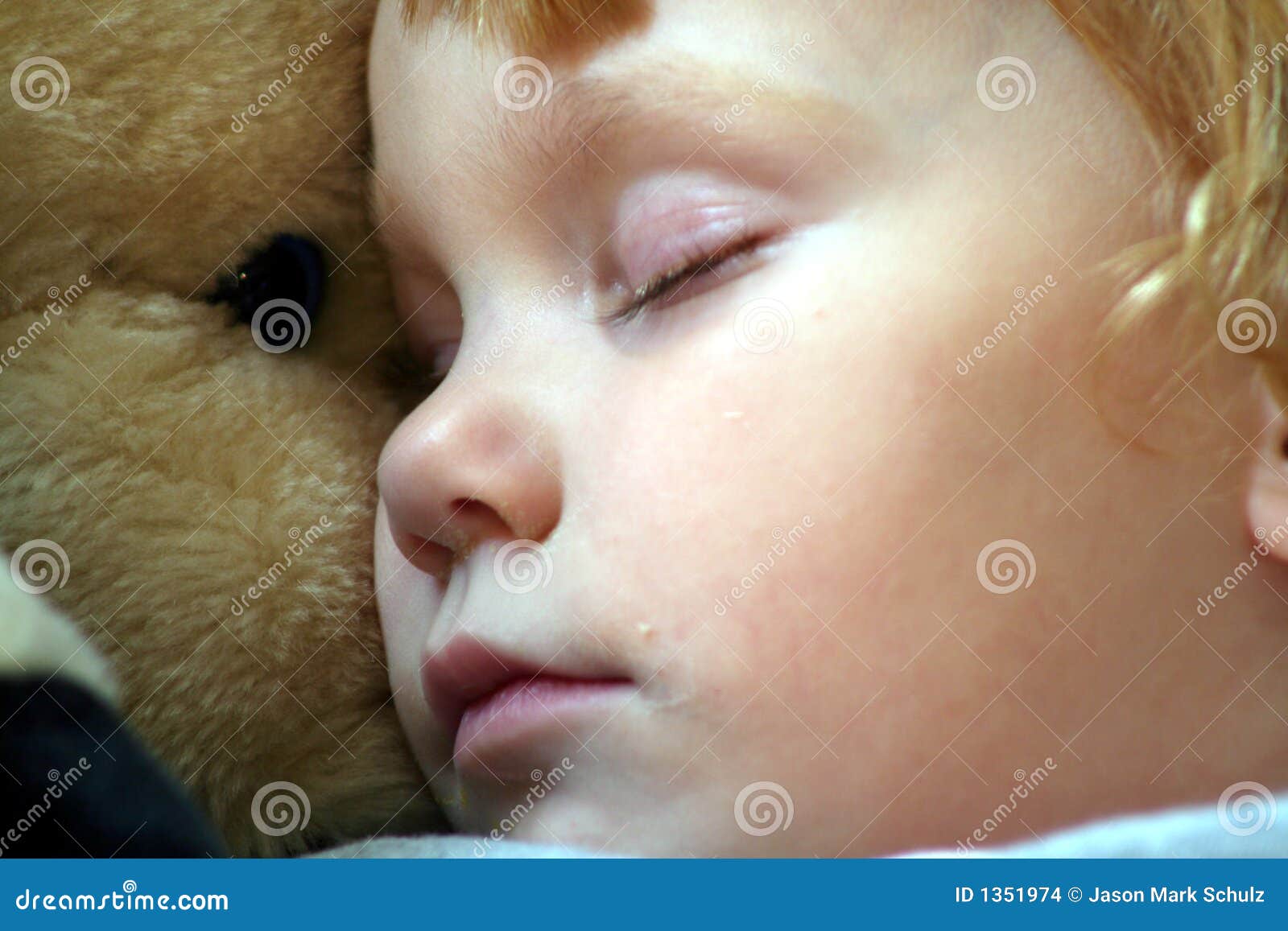 asleep with a stuffed horse 2