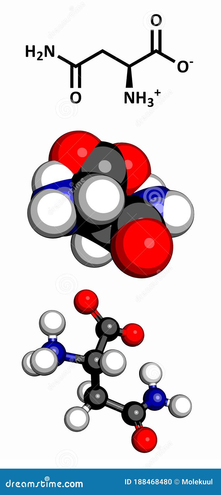 Asparagine Asn, N Amino Acid, Molecular Model Stock Illustration ...