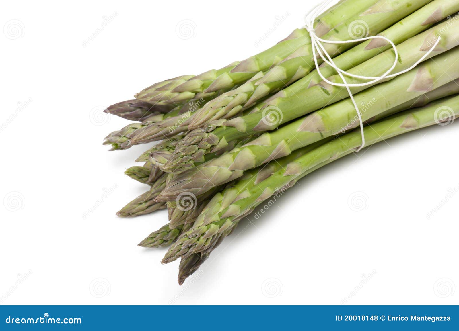 Asparagus stock photo. Image of white, diet, greens, diuretic 20018148