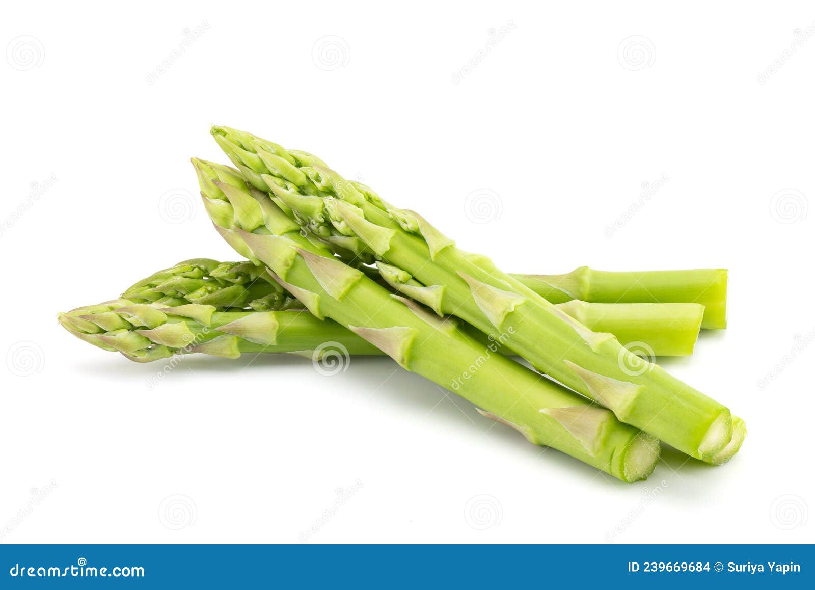 Asparagus Isolated On White Background Stock Photography
