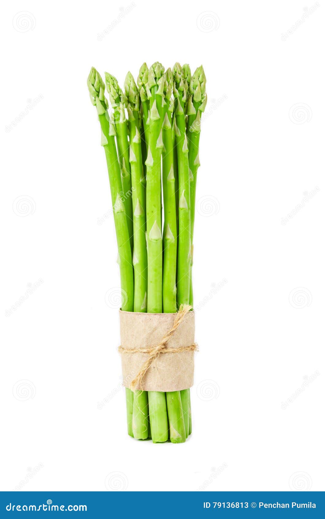 Asparagus Isolated on White. Stock Image Image of food, background
