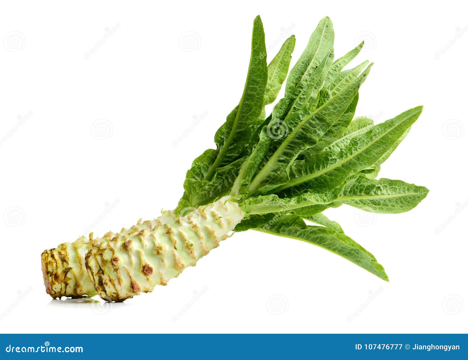 Asparagus lettuce stock image. Image of eating, healthy 107476777