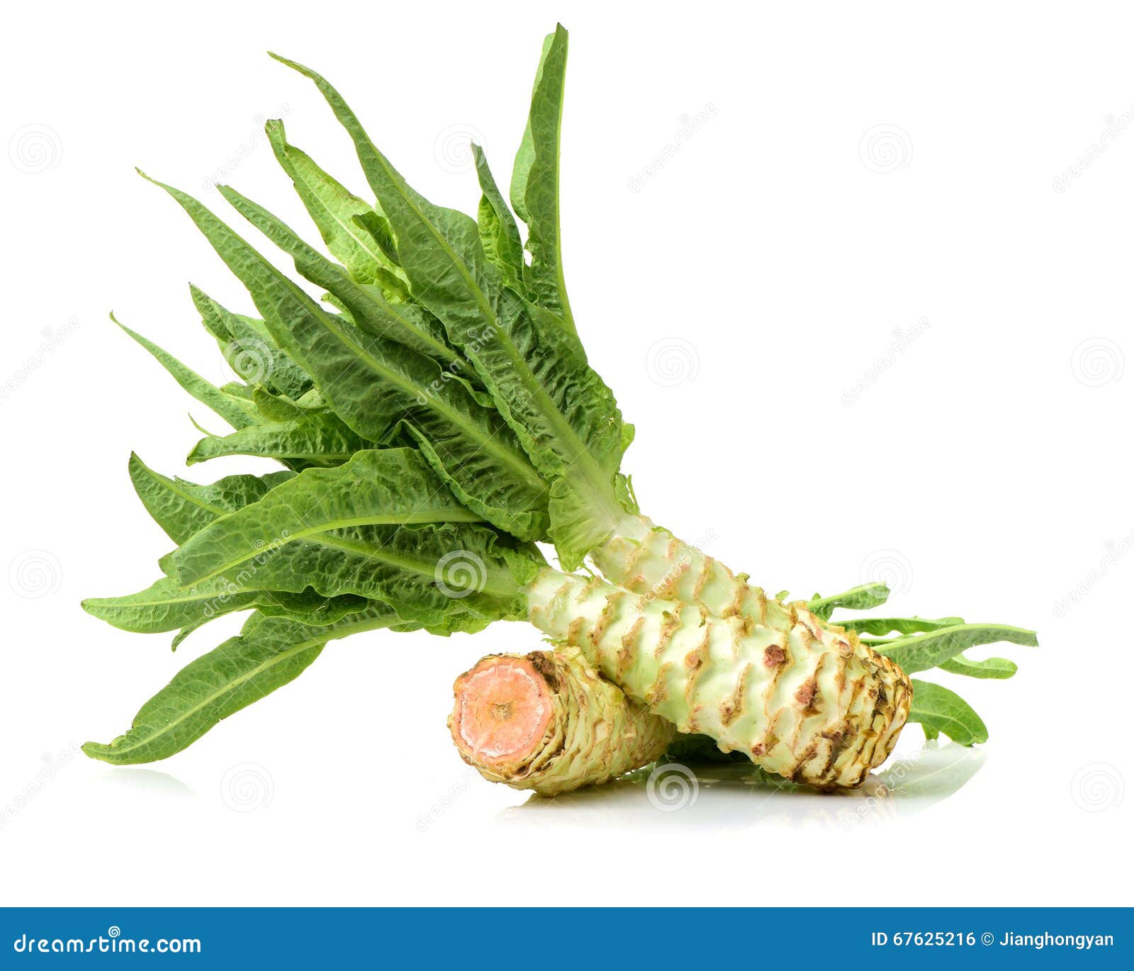 Asparagus lettuce stock photo. Image of organic, single 67625216