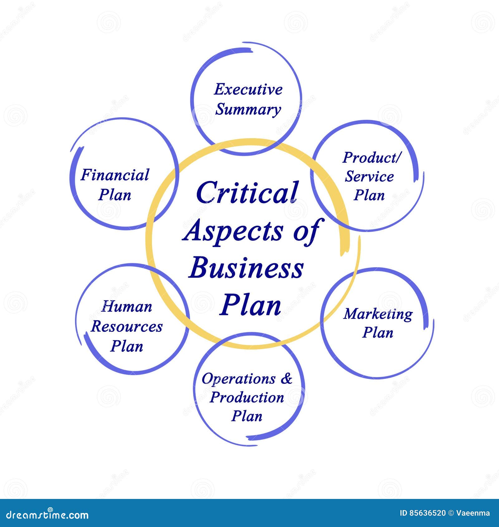 aspects of a business plan icev