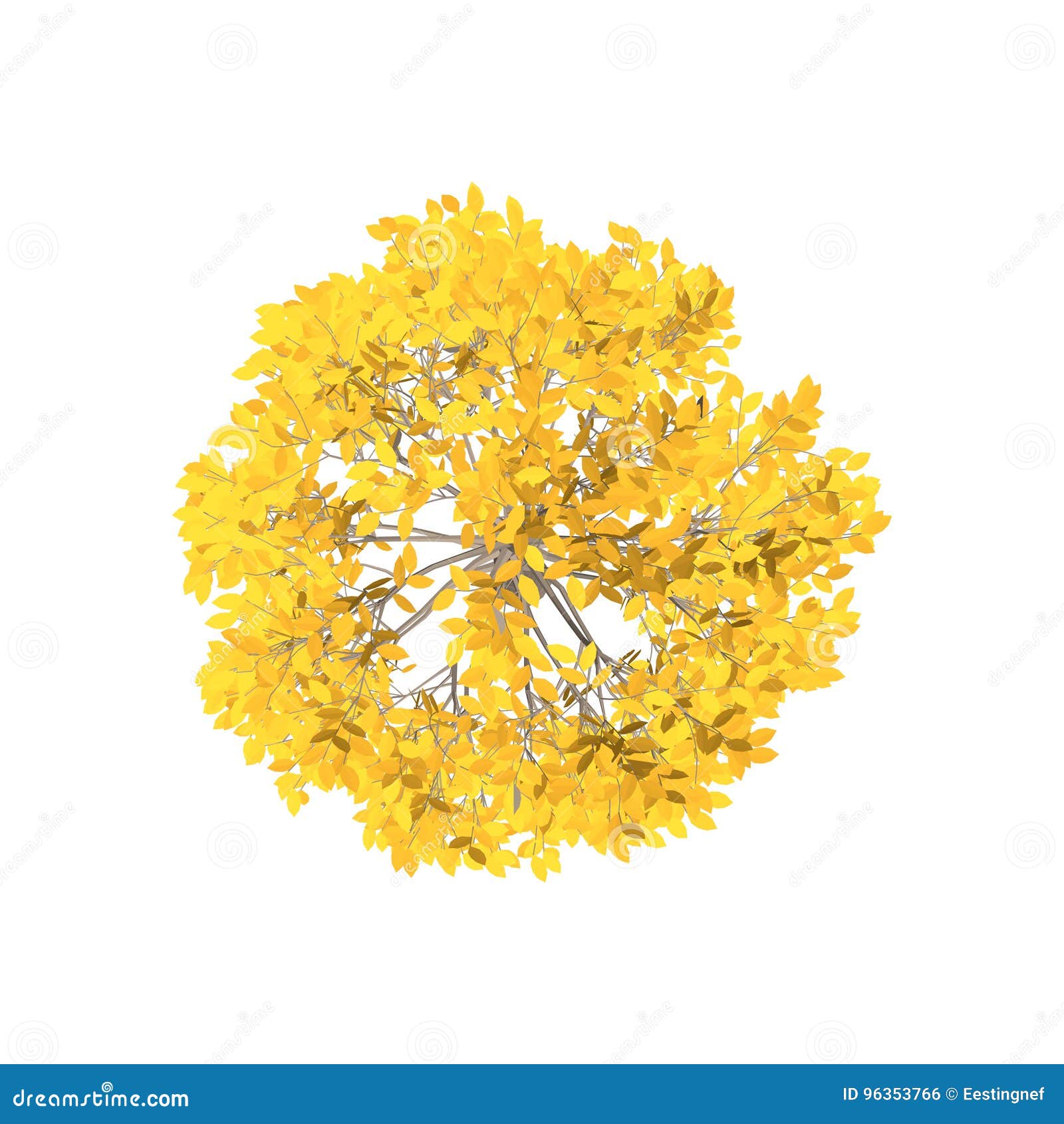 Aspen Tree. Isolated On White Background. Top View. Stock Vector