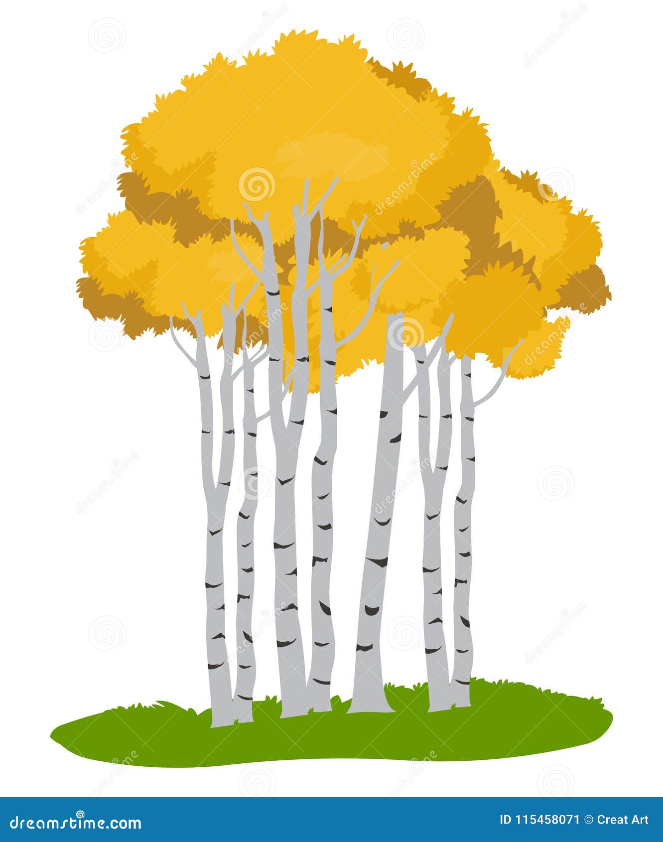 aspen trees.tree  ,autumn tree