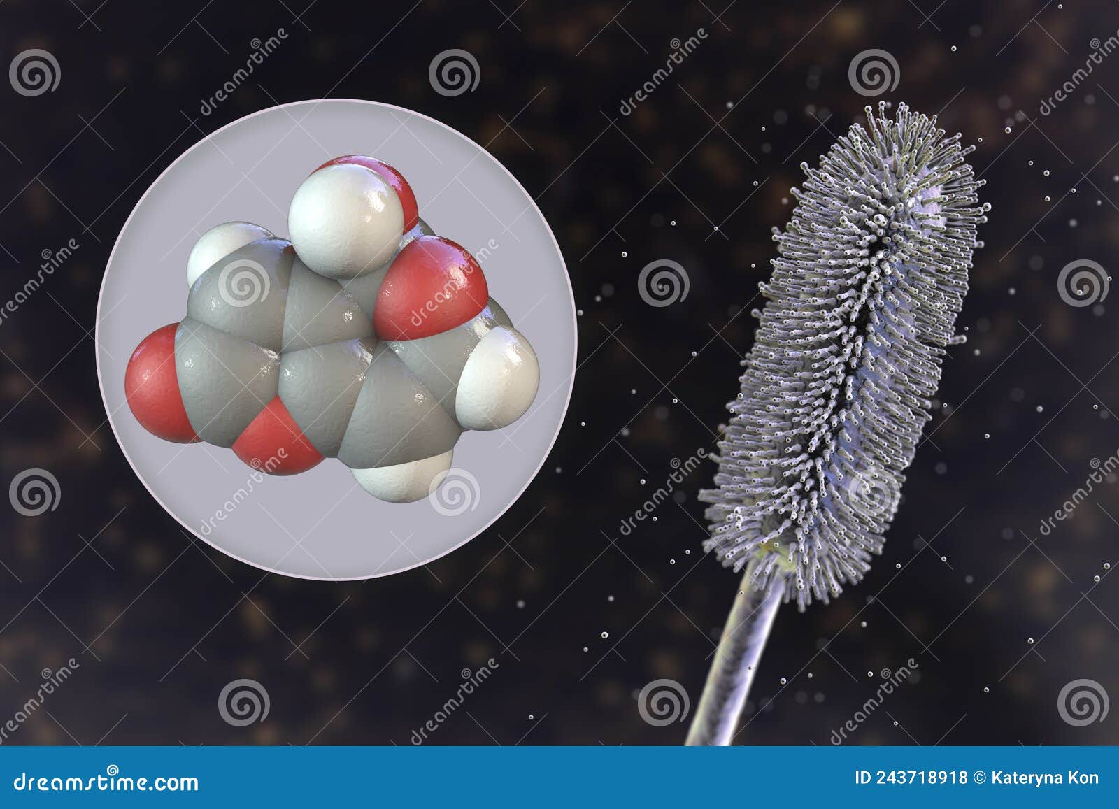 aspergillus clavatus mold fungi and molecule of patulin toxin, 3d 