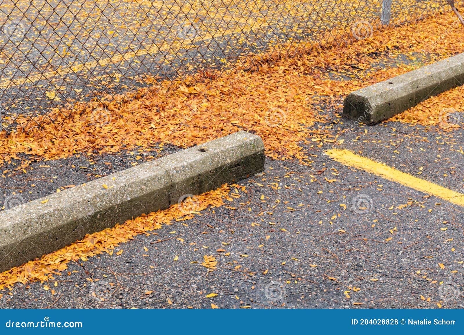 Asphalt Parking Lot with Concrete Curbs, Chain Link Fence, Thick Bright
