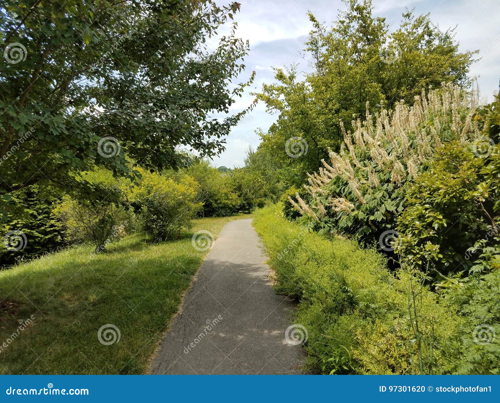 Asphalt Path with Flowers and Grasses Stock Photo Image of outdoors