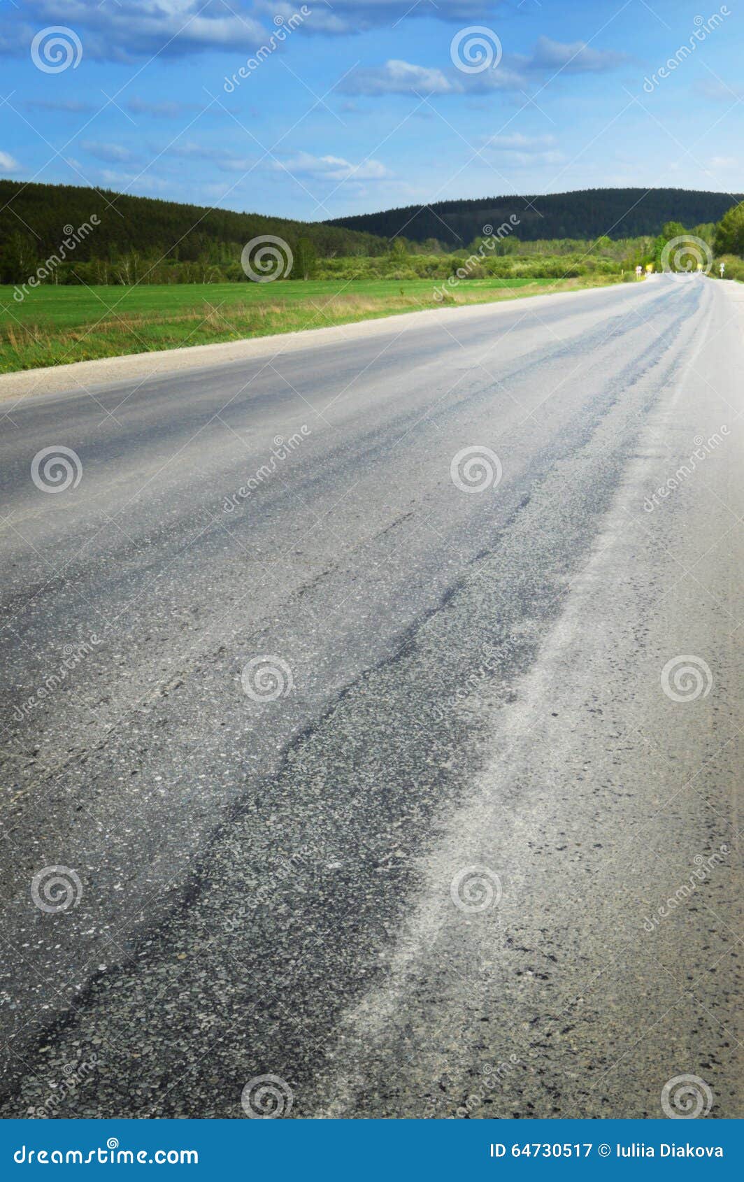 Asphalt Road Goes Into The Distance And Disappears Into The Woods Stock