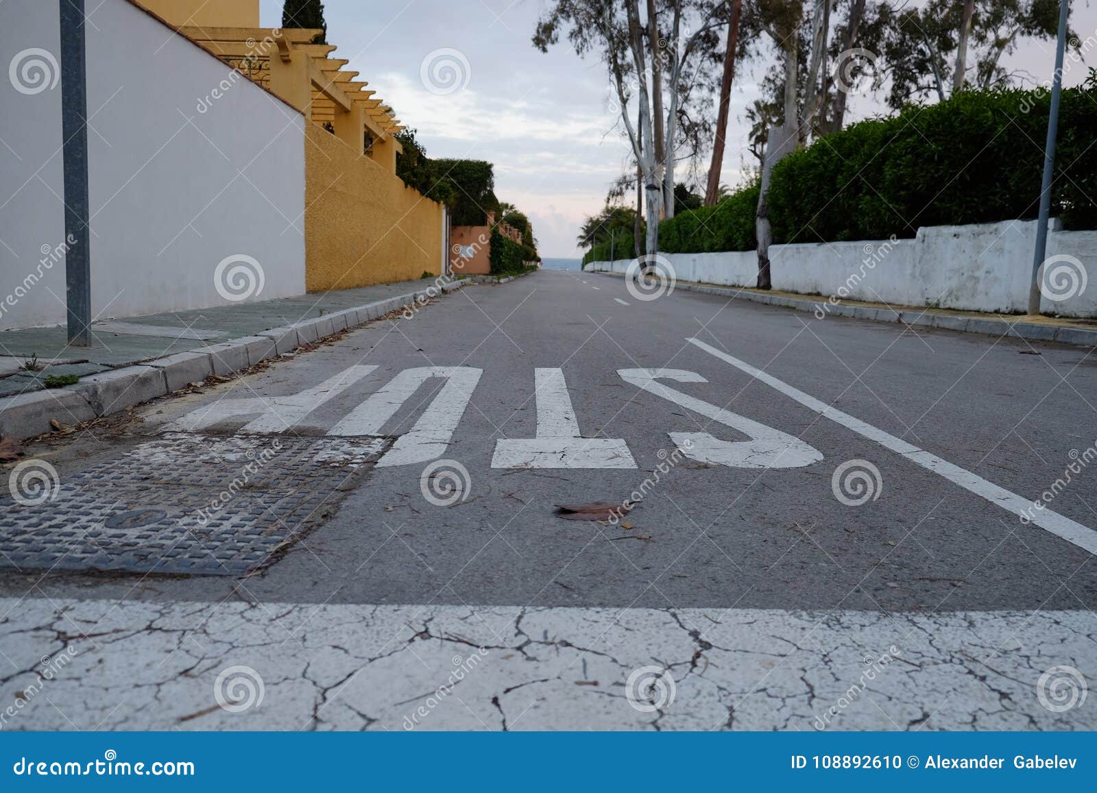 Crossing Road Marking With Stop Line Stock Photo Image Of Nopeople