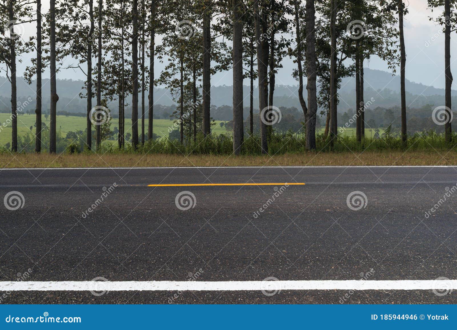 65,509 Side View Road Stock Photos - Free & Royalty-Free Stock Photos from  Dreamstime