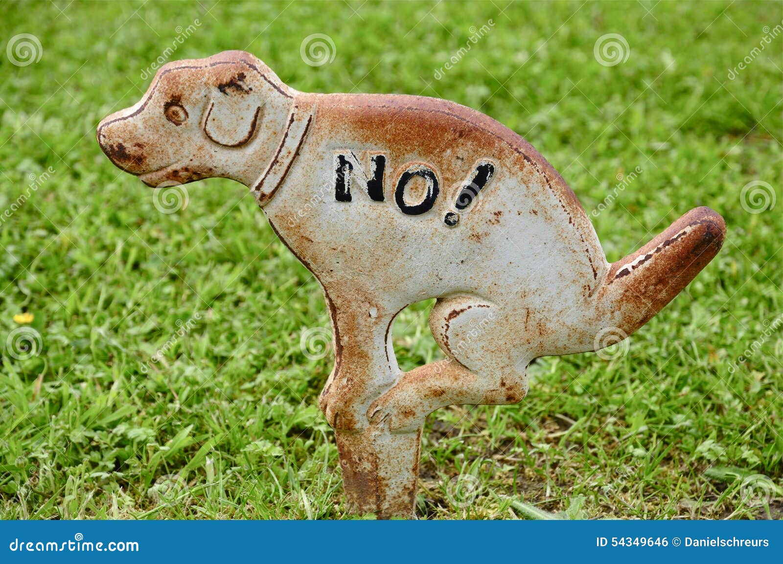 Asphaltieren Sie Kein HundPoopingZeichen Stockfoto Bild von