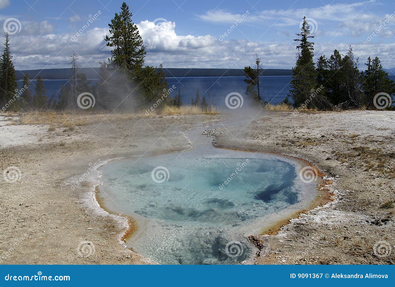 Associação quente, parque de Yellowstone, EUA. Vista em uma da associação quente de Yellowstone, parque nacional de Yellowstone, EUA