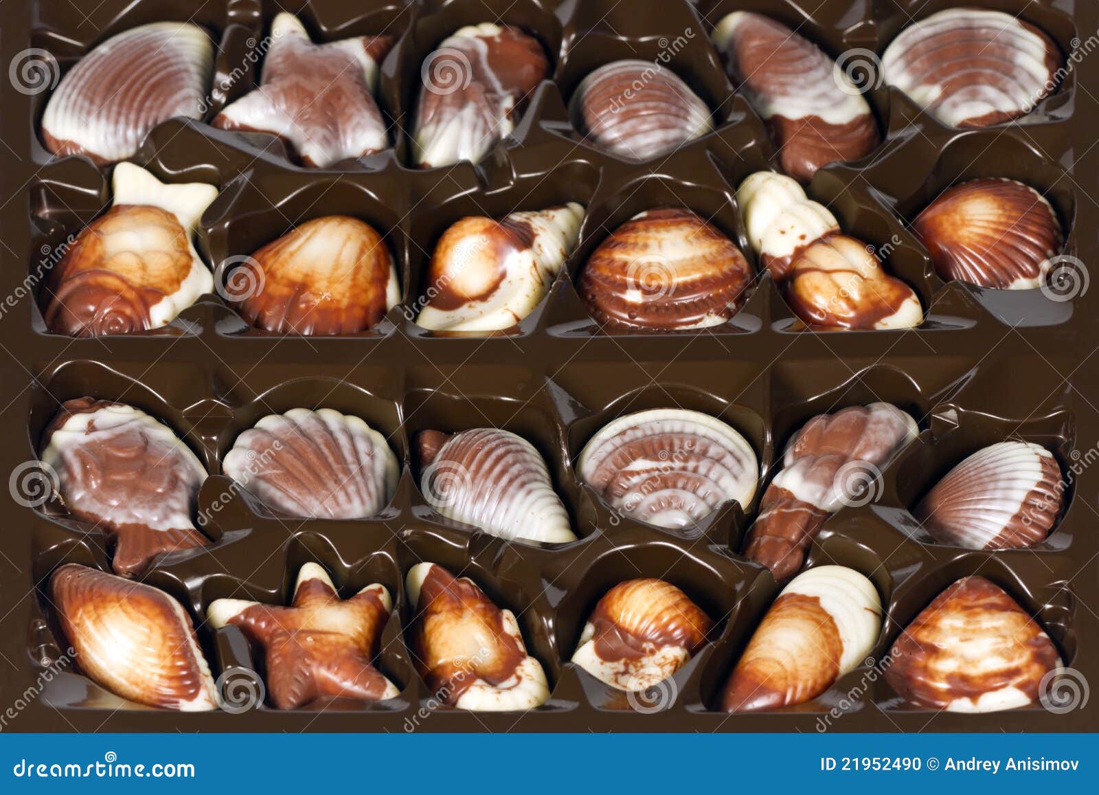 Chocolate seashells Banque de photographies et d'images à haute