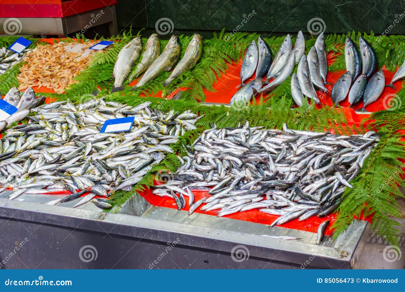 Assorted Fish at Market for Sale Stock Image Image of fish, business