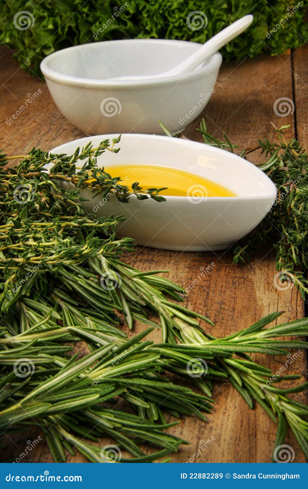 Assorted Fresh Herbs with Olive Oil Stock Image Image of plant, olive 22882289