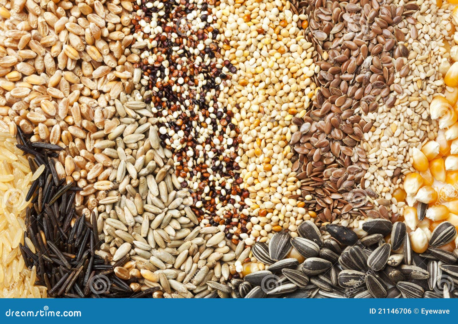 Assorted Grains And Seeds Background Royalty Free Stock Image - Image