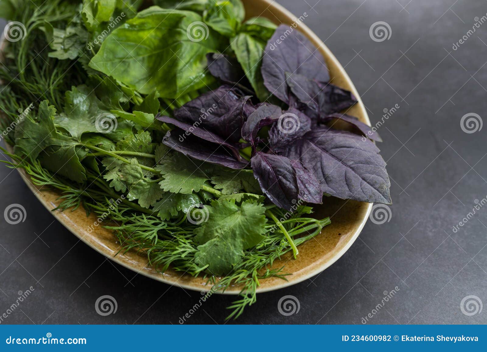Assorted Greens Dill Leaves Spinach Parsley Cilantro Stock Photo
