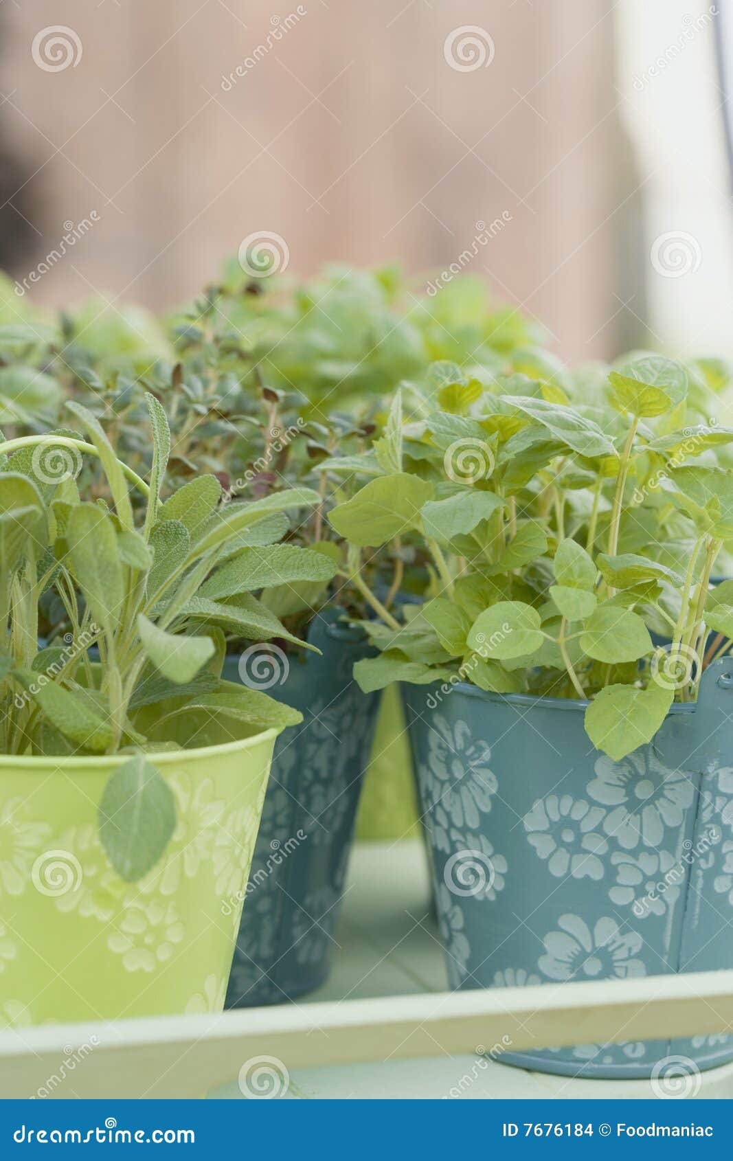 Assorted herbs stock photo. Image of fresh, uncooked, basil 7676184
