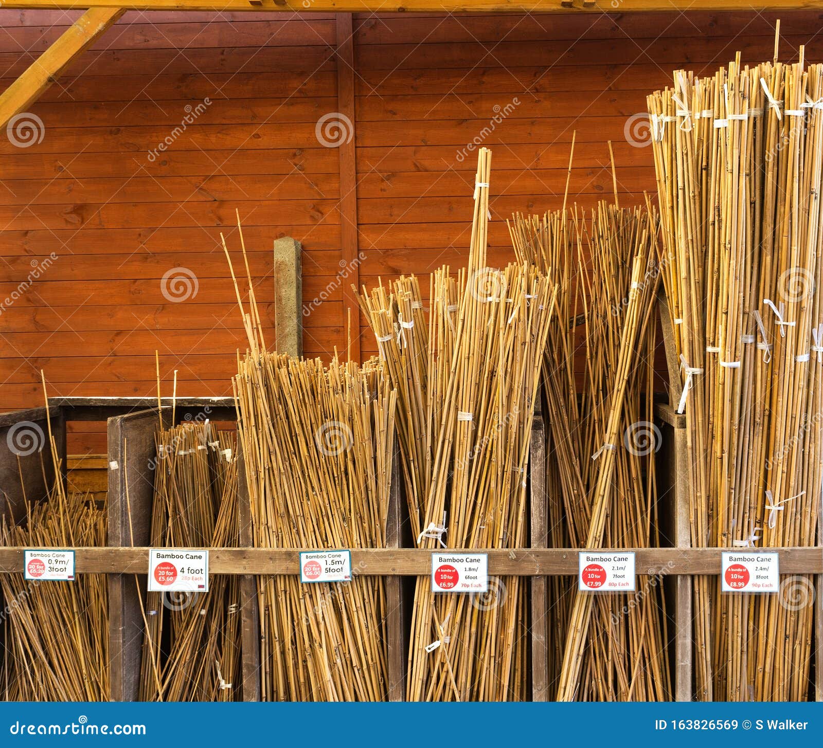 Assorted Sized Bamboo Canes at a Garden Centre. Stock Image Image of