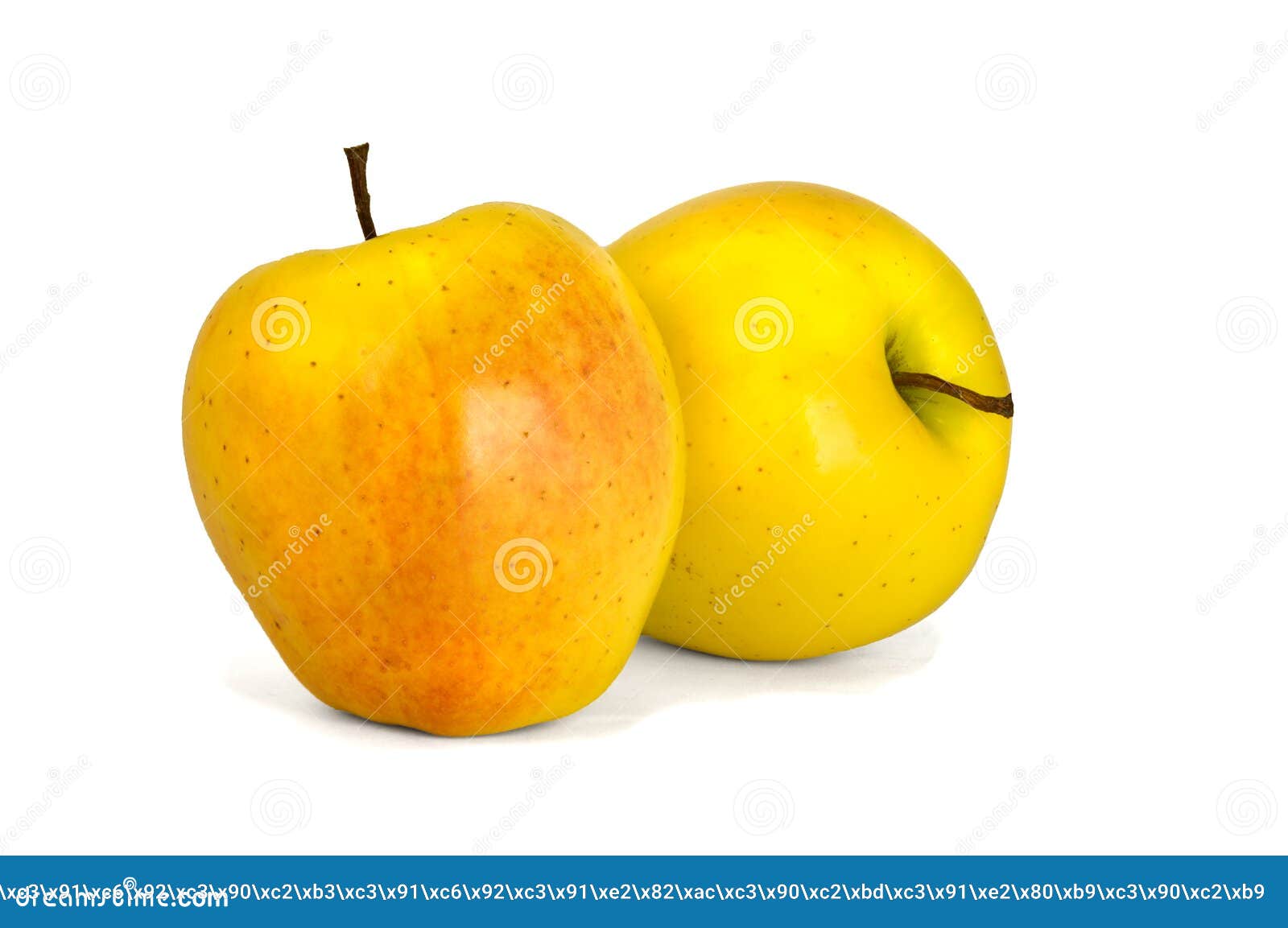 Assorted Yellow Apples Golden Delicious Isolate White Background Stock Photo Image of