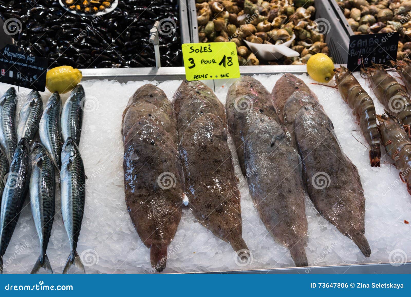 Assortimento Del Pesce Al Mercato Fotografia